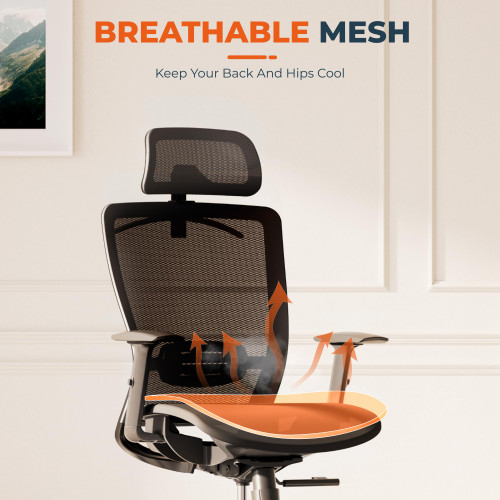 Ergonomic Office Chair Swivel Computer Chair Home Office Desk Chairs with Lumbar Support/2D Headrest/300lbs Heavy Duty/Lockable Back,Mesh Seat Cushion,ErgoChair Pro, Black