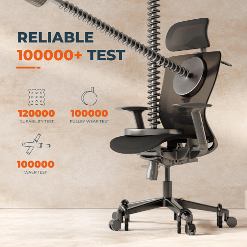 Ergonomic Office Chair Swivel Computer Chair Home Office Desk Chairs with Lumbar Support/2D Headrest/300lbs Heavy Duty/Lockable Back,Mesh Seat Cushion,ErgoChair Pro, Black