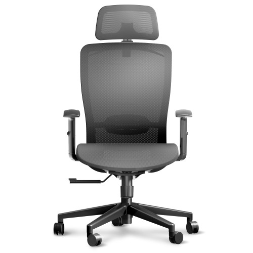 Ergonomic Office Chair Swivel Computer Chair Home Office Desk Chairs with Lumbar Support/2D Headrest/300lbs Heavy Duty/Lockable Back,Mesh Seat Cushion,ErgoChair Pro, Gray