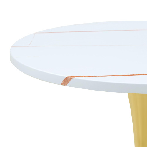 Round Dining Table, 23.6" Circle Tulip Table with Thickened Tabletop & Metal Pedestal, Mid Century Modern Bistro Table for Kitchen, Small Places, Living Room