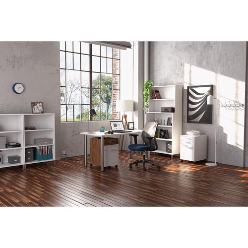 2 Drawer Mobile File Cabinet, Rolling Printer Stand, Vertical Filing Cabinet, Office Drawers, Filing Cart for Home Office, A4/Letter Size, Black and Rustic Brown