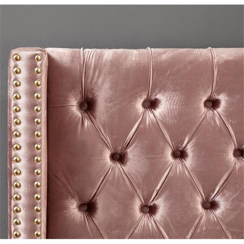 Barolo Collection Modern | Contemporary Velvet Upholstered Wing Designed Bed with Deep Detailed Tufting, Gold Nailhead Trim and Legs, Twin, Pink
