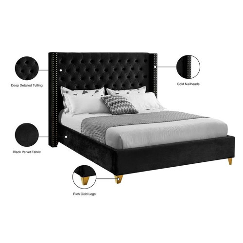 Barolo Collection Modern | Contemporary Velvet Upholstered Wing Designed Bed with Deep Detailed Tufting, Gold Nailhead Trim and Legs, Queen, Black