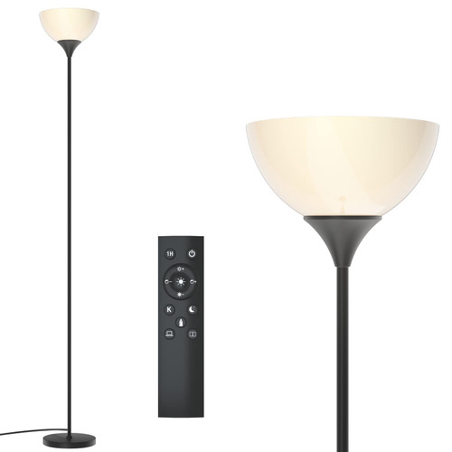 Floor Lamp, Remote Control, Stepless Brightness & Color Temperature