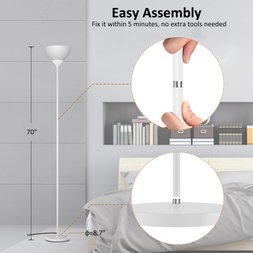 Floor Lamp, Remote Control, Stepless Brightness & Color Temperature