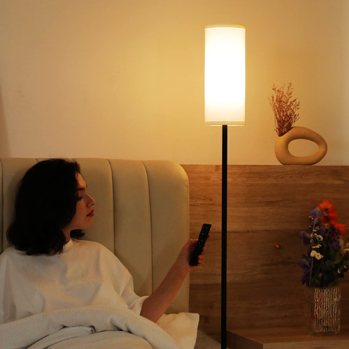 64" Modern Floor Lamp with Remote Control, 9W Bulb Included