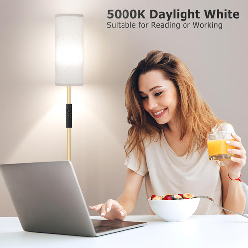 64'' Floor Lamps for Living Room with Remote Control and Stepless Dimmable Colors Temperature & Brightness, 9W Bulb Included(Beige Lampshade & Gold Pole)