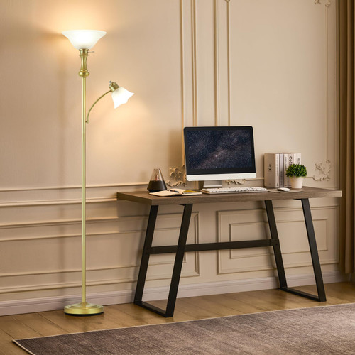 Glod Floor Lamp with Adjustable Angle Reading Lamp-71IN