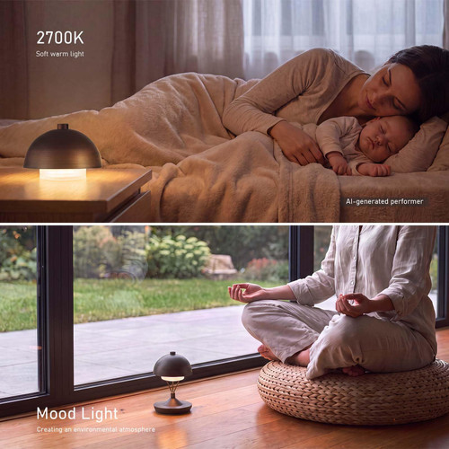 Cordless Modern Desk Lamp, Rechargeable Battery, Brown Bronze