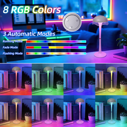 Rechargeable Table Lamp, LED Cordless Table Lamp