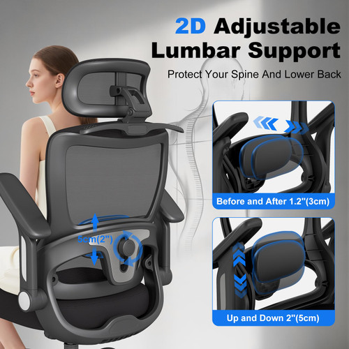 8PC, Ergonomic Office Chair, Home Computer Chair with 3D Adjustable Headrest and 4D Flip-Up Armrests, Adjustable Lumbar Support, Suitable for Office and Study,  Black
