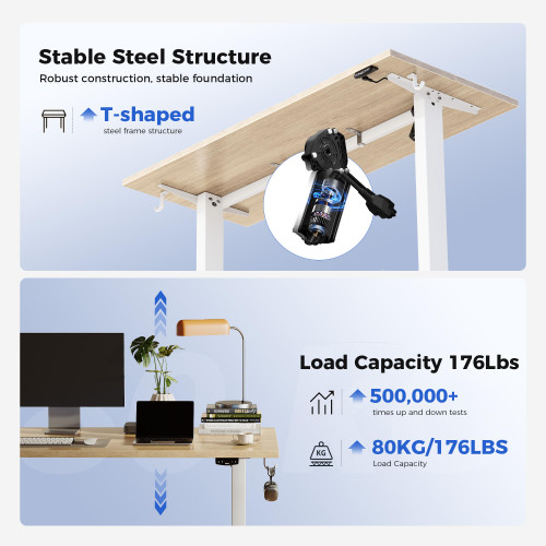 48 * 24 Inch Height Adjustable Electric Standing Desk, Maple