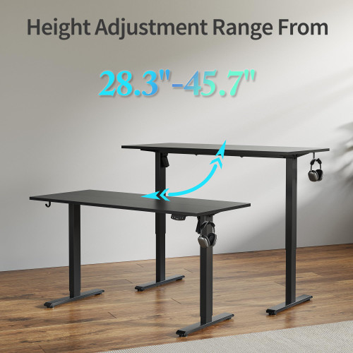55 * 24 Inch Height Adjustable Electric Standing Desk, Black