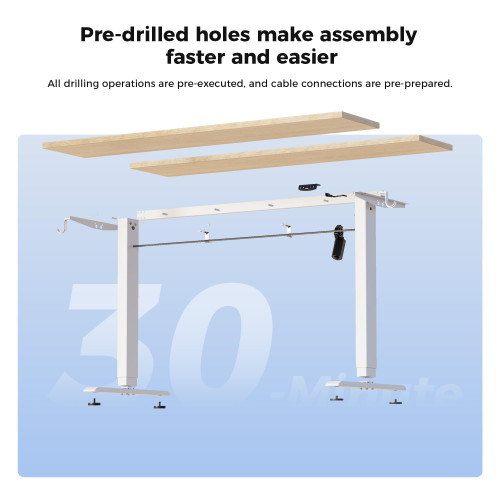 55 * 24 Inch Height Adjustable Electric Standing Desk, Maple
