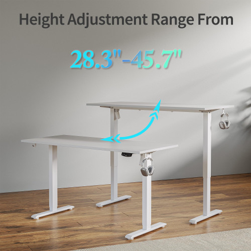 55 * 24 Inch Height Adjustable Electric Standing Desk, White