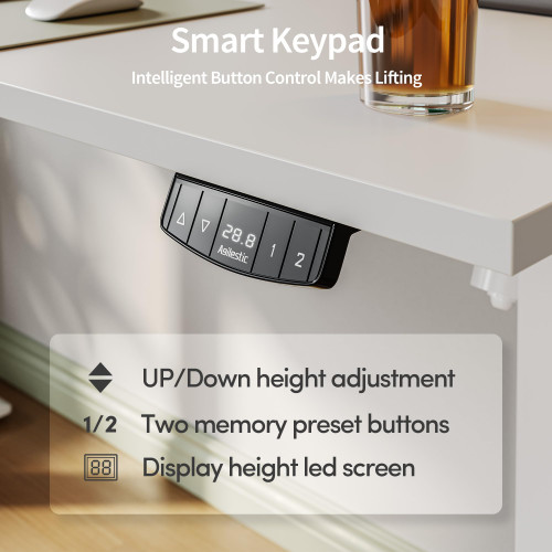 63 * 24 Inch Height Adjustable Electric Standing Desk, White