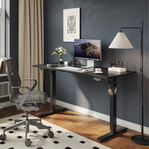 63 * 24 Inch Height Adjustable Electric Standing Desk, Black
