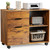 Wood File Cabinet with 3 Drawers, Rolling Printer Stand