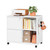 Metal 2 Drawer File Cabinet with Side Hook, Lockable Lateral Filing Cabinet for Letter/A4/Legal Size Files,Rolling Printer Stand with Adjustable Shelf & Lockable Wheelss for Home Office(White) Metal 2 Drawer File Cabinet with Side Hook, Lockable Lateral Filing Cabinet for Letter/A4/Legal Size Files,Rolling Printer Stand with Adjustable Shelf & Lockable Wheelss for Home Office(White)