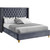 Barolo Collection Modern | Contemporary Velvet Upholstered Wing Designed Bed with Deep Detailed Tufting, Gold Nailhead Trim and Legs, Full, Grey Barolo Collection Modern | Contemporary Velvet Upholstered Wing Designed Bed with Deep Detailed Tufting, Gold Nailhead Trim and Legs, Full, Grey