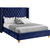 Barolo Collection Modern | Contemporary Velvet Upholstered Wing Designed Bed with Deep Detailed Tufting, Gold Nailhead Trim and Legs, Full, Navy