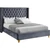 Barolo Collection Modern | Contemporary Velvet Upholstered Wing Designed Bed with Deep Detailed Tufting, Gold Nailhead Trim and Legs, Queen, Grey