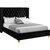Barolo Collection Modern | Contemporary Velvet Upholstered Wing Designed Bed with Deep Detailed Tufting, Gold Nailhead Trim and Legs, King, Black