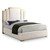 Hugo Collection Modern | Contemporary Velvet Upholstered Bed with Polished Gold Metal Frame and Legs, Queen, Cream