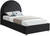 MiloBlack-T Milo Collection Modern | Contemporary Boucle Fabric Upholstered Bed with Brass Nailheads and Brass Cap on Legs, 44" W x 81.5" D x 48" H, Black, Twin MiloBlack-T Milo Collection Modern | Contemporary Boucle Fabric Upholstered Bed with Brass Nailheads and Brass Cap on Legs, 44" W x 81.5" D x 48" H, Black, Twin