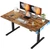 48*28 Inch Height Adjustable Electric Standing Desk, Rustic Brown