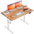 55*24 Inch Height Adjustable Electric Standing Desk, Light Brown 55*24 Inch Height Adjustable Electric Standing Desk, Light Brown