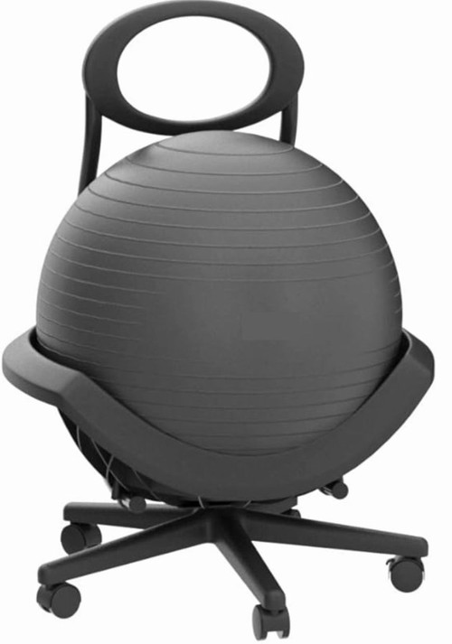 Humanspine Ball Office Chair by ModSavy