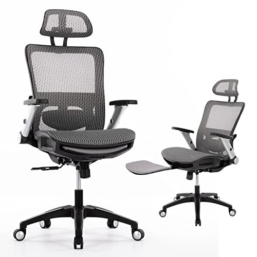 Humanspine Anytime Office Chair by ModSavy Brand NEW