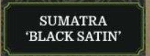 Organic Sumatra 'Black Satin Roast' Fair Trade Coffee - 1/2 Pound Organic Sumatra 'Black Satin Roast' Fair Trade Coffee - 1/2 Pound