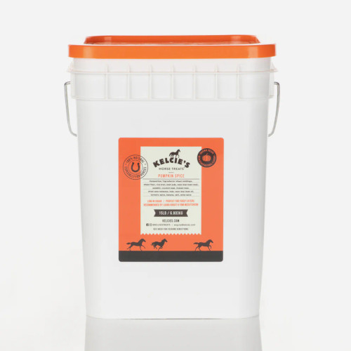 Kelcie's Horse Treats - Pumpkin Spice - 15 lb Bucket