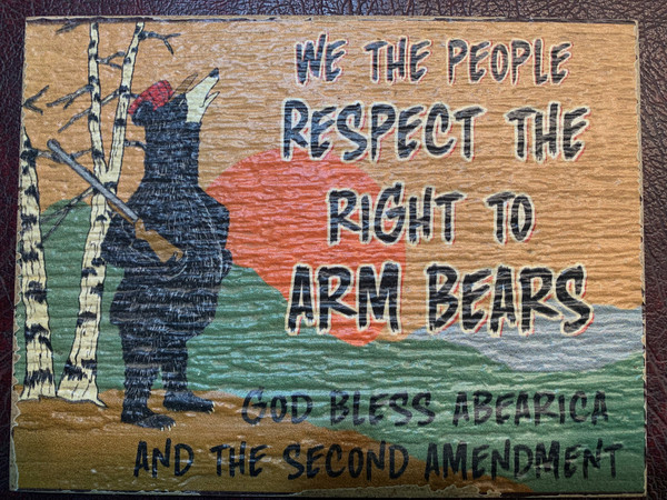 We The People Respect The Right To Arm Bears