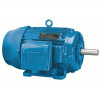 Weg Farm General Purpose Three Phase Motor