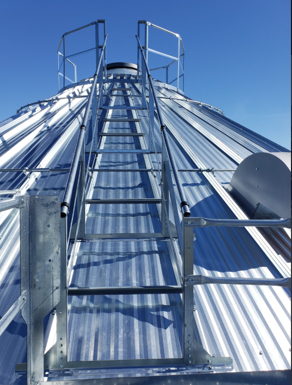 Easy Step Roof Ladder Handrail