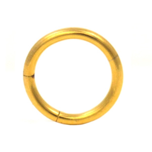 Gold Plated Segment Ring Seamless Hoop 14G (2 Sizes)