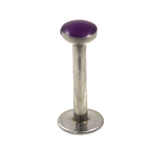 Purple Enamel Top Labret Monroe Tragus Bar 16G 