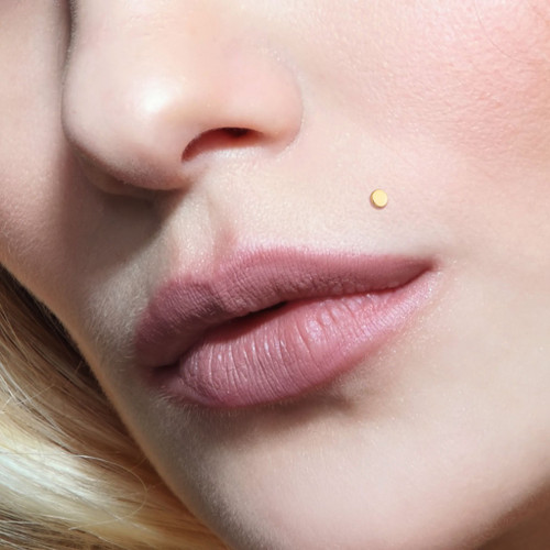 14k Gold Circle Top Bioflex Labret Monroe Stud 16G 14k Gold Circle Top Bioflex Labret Monroe Stud 16G