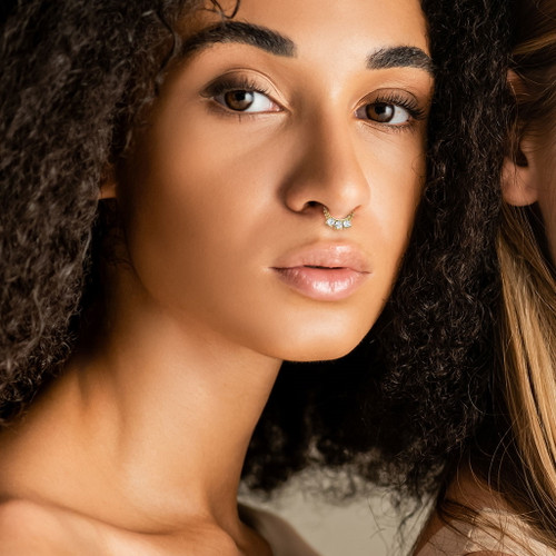 Triple Round CZ Hinged Segment Ring Hoop 16G Triple Round CZ Hinged Segment Ring Hoop 16G