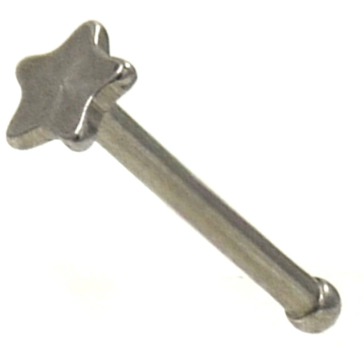 Stainless Steel Star Nose Ring Stud 20G