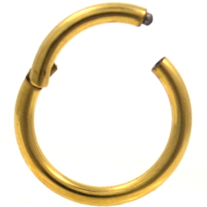 Gold-Tone Steel Hinged Segment Ring Hoop 14G 