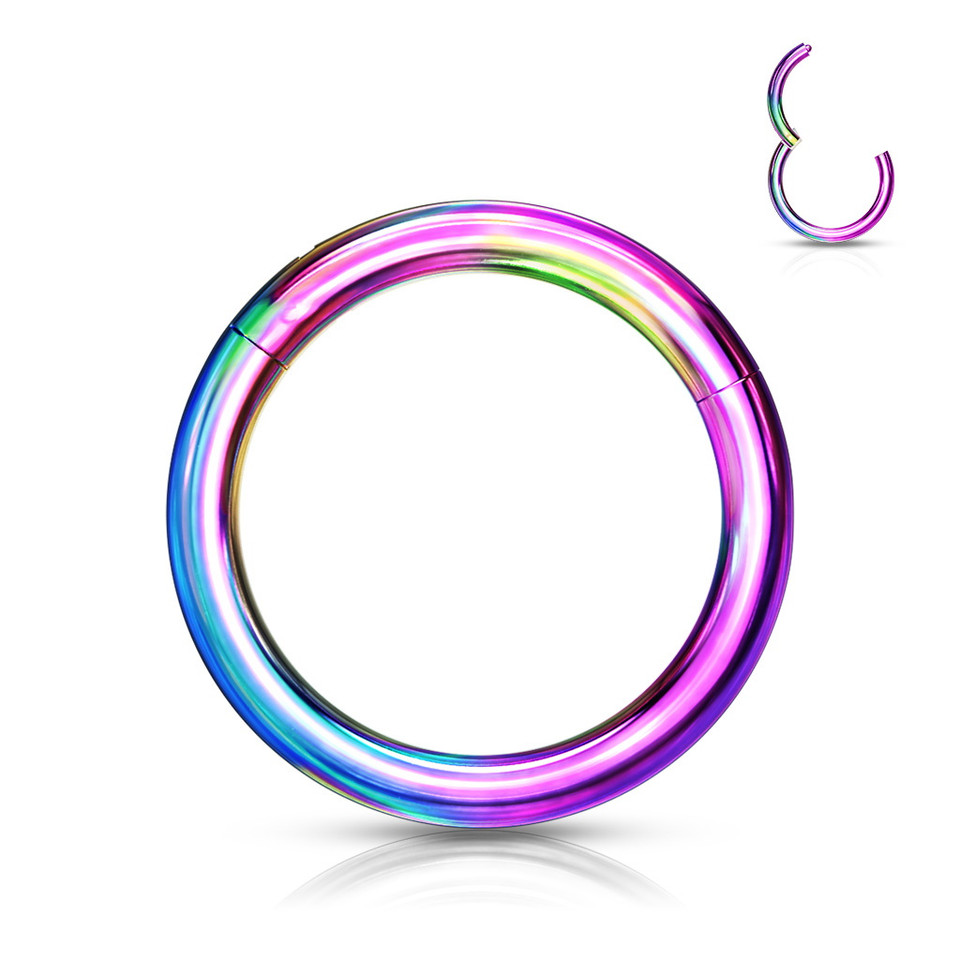 Rainbow Segment Ring Seamless Hoop 16G (4 Sizes) | BodyDazz.com