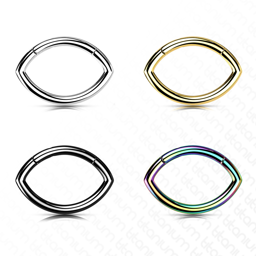 Oval Shape Titanium Hinged Segment Ring Hoop 16G | BodyDazz.com