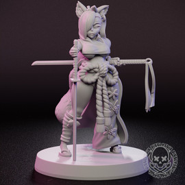 Sword Master Tanuki Ninja