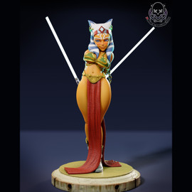 Special Training Apprentice Ahsoka