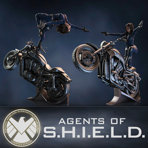 Agent of S.H.I.E.L.D.