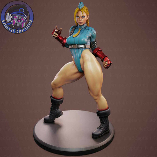 Cammy render